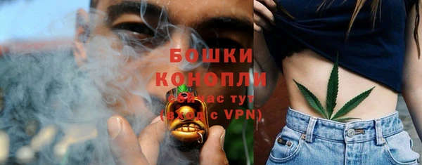 a pvp Абаза