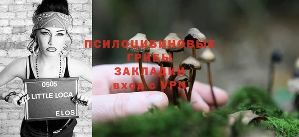 a pvp Абаза