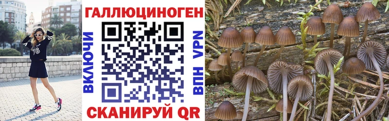 ОМГ ОМГ зеркало  Сорск  Галлюциногенные грибы GOLDEN TEACHER  наркошоп 