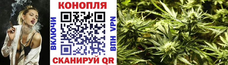 Бошки Шишки планчик Сорск